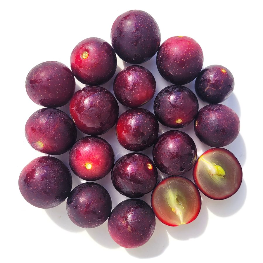 Muscadines