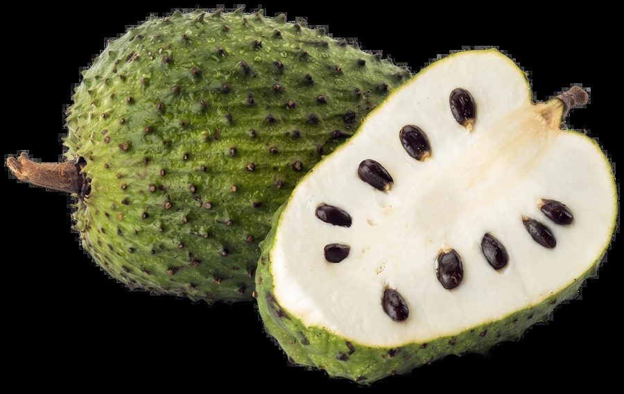 Soursop